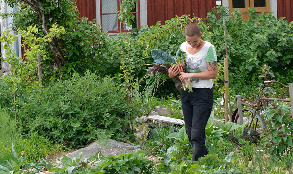 Nelson_Garden_Sara-Bäckmo-Harvest-all-year-around_Image_10.jpg