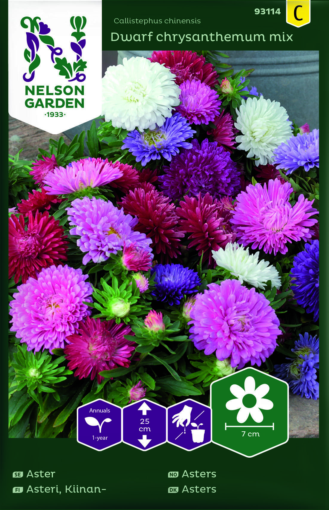 Aster, Dvärg, bl färger