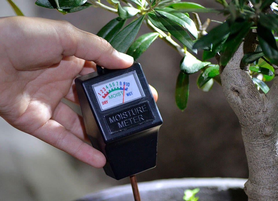 Hand som mäter fuktigheten i en krukväxt med hjälp av en fuktighetsmätare