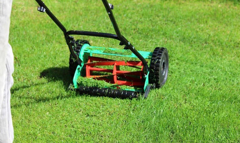 En cylindergräsklippare som klipper en gräsmatta.