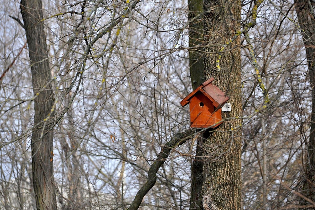 Nelson_Garden_How to Hang a Birdhouse_image2.jpg