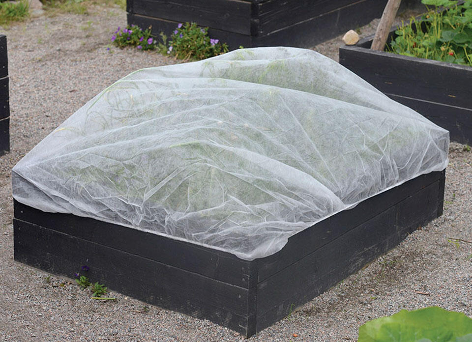 Nelson_Garden_How to Protect Your Plants from Frost_Thumbnail.jpg