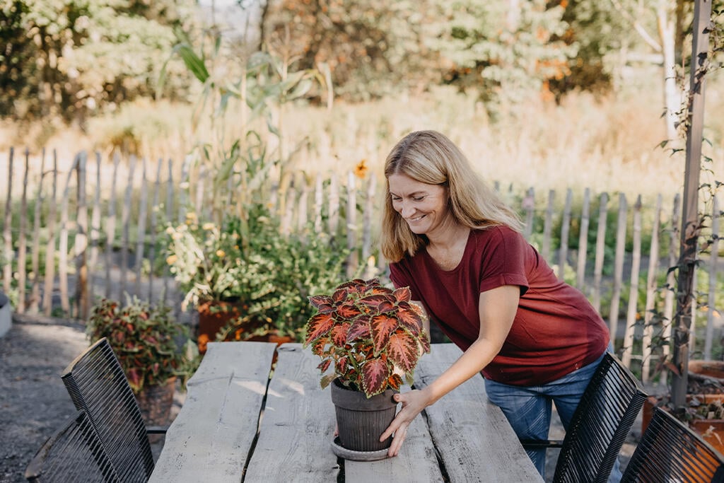 Nelson_Garden_How to succeed with Coleus_image_1.jpg