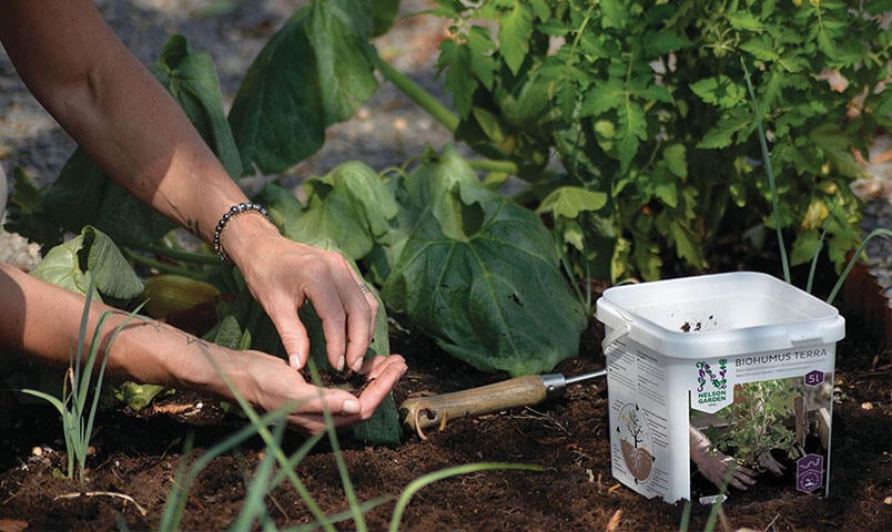 En hand som gödslar en planta med Biohumus.