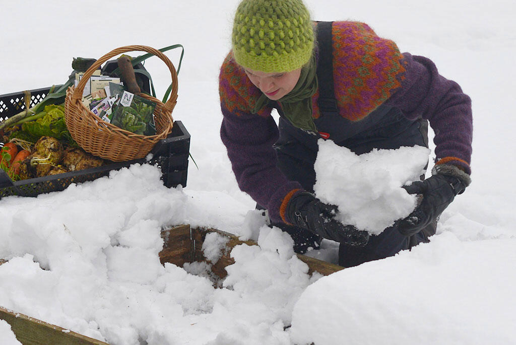 Nelson_Garden_Sowing_seeds_in_the_snow_Image_1.jpg