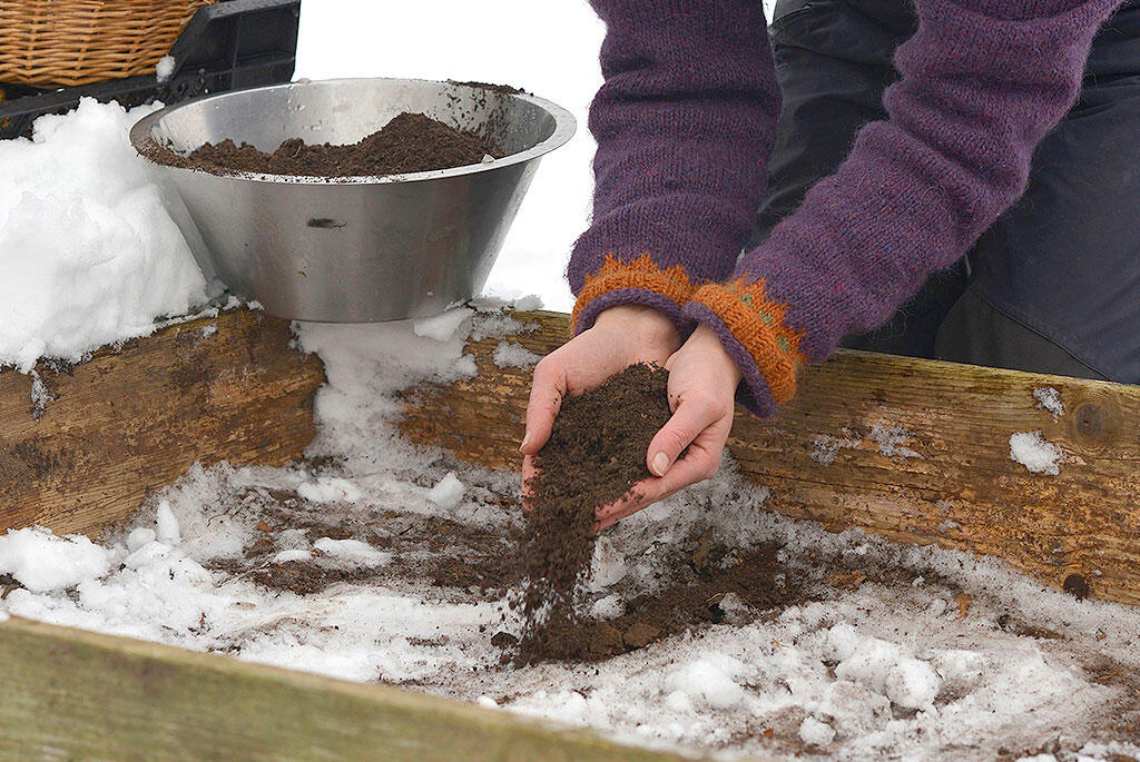Nelson_Garden_Sowing_seeds_in_the_snow_Image_4.jpg