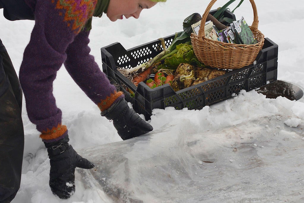 Nelson_Garden_Sowing_seeds_in_the_snow_Image_5.jpg