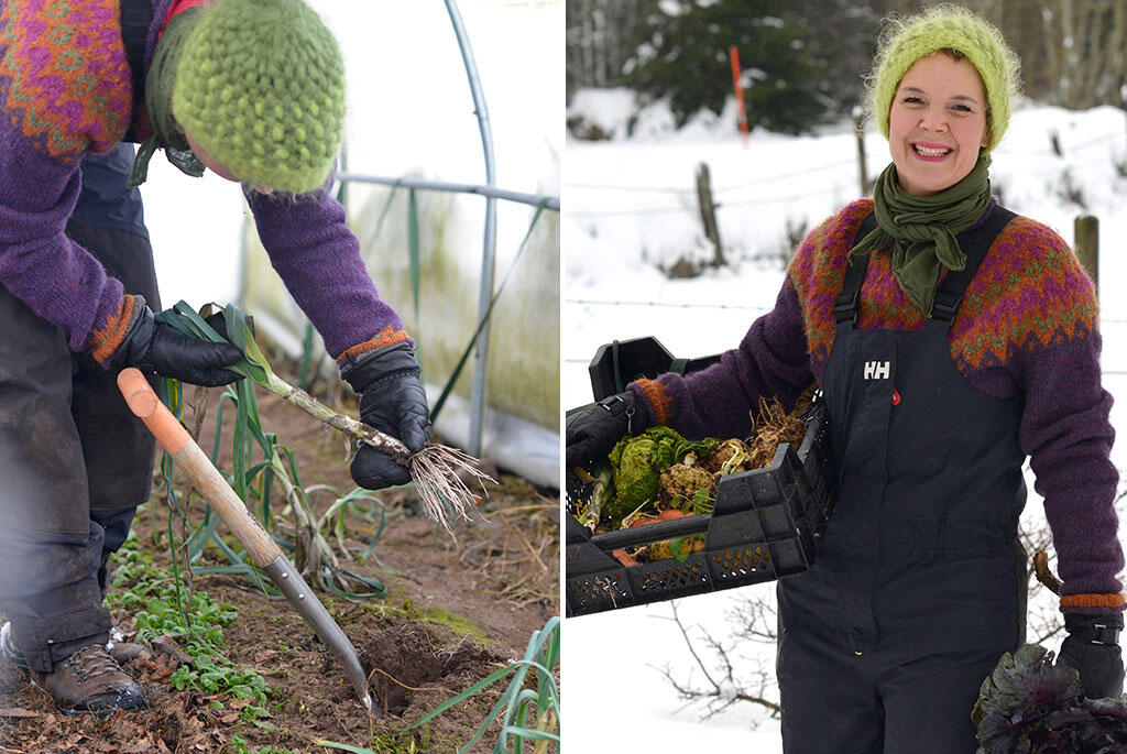 Nelson_Garden_Sowing_seeds_in_the_snow_Image_6.jpg