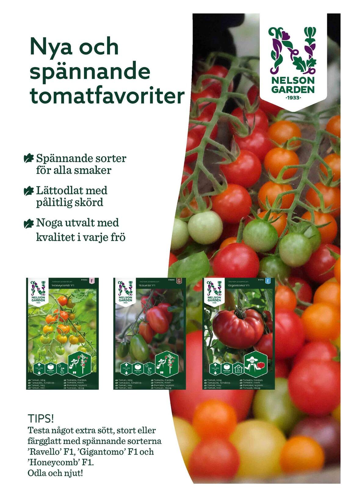 Bild1 .jpg