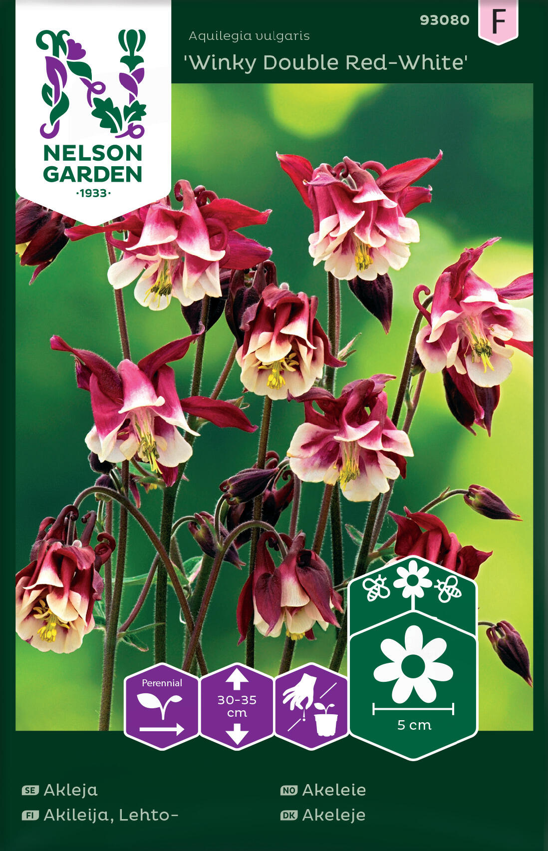 Akleja, Winky Double RedWhite